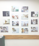 「とらです」パネル展、ジュンク堂書店・池袋本店にて開催中!!