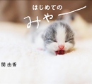 はじめての みゃー