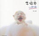 子猫本 and シール