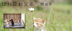 ほわほわ兄弟