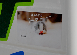 我が社の本のデカール