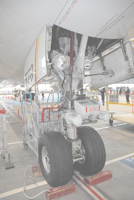 前足にヘッドライトが付いているのをはじめて知りました。尾翼にもライトが付いています。