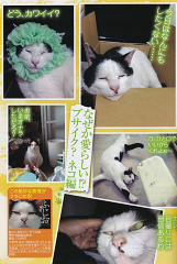 「ふじお」が週刊大衆に掲載されました