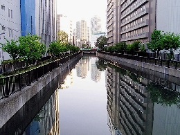 大島川西支川。北から南へ走る運河