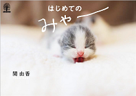 はじめての みゃー