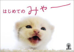 はじめての みゃー