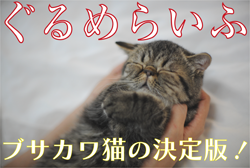 ぐるめらいふ