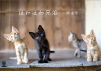 ほわほわ兄弟