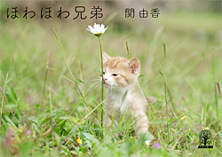 ほわほわ兄弟