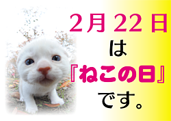 2月22日は「ねこの日」です