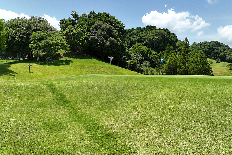 コースイメージ